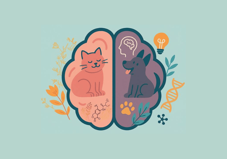 Why We Love Our Pets