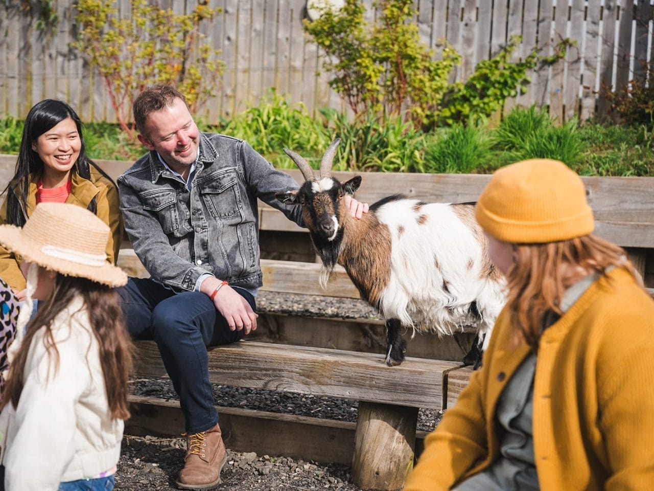 Creature Connections