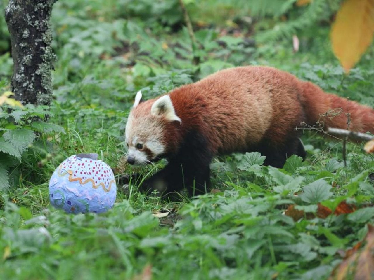 Easter Egg-splorer Trail